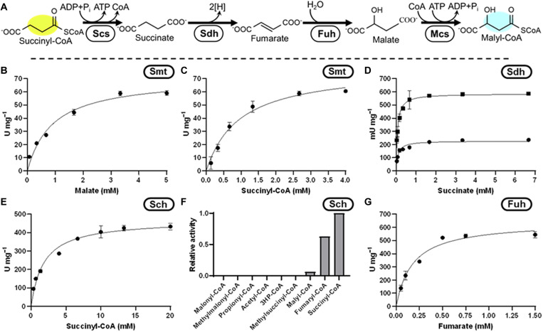 Fig. 4.