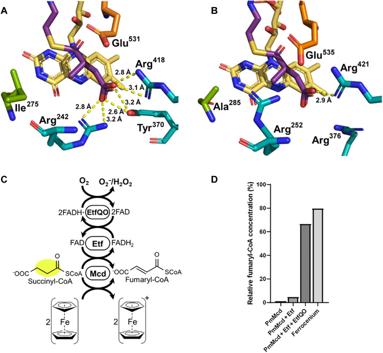 Fig. 6.