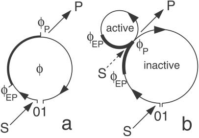 Fig 1.