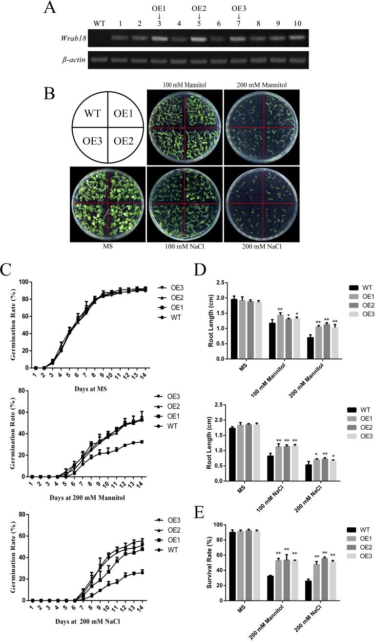 Fig 2