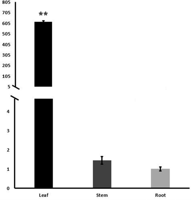 Fig 5