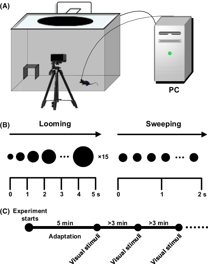 FIGURE 1