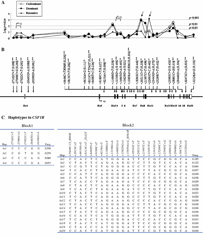 Fig. 1