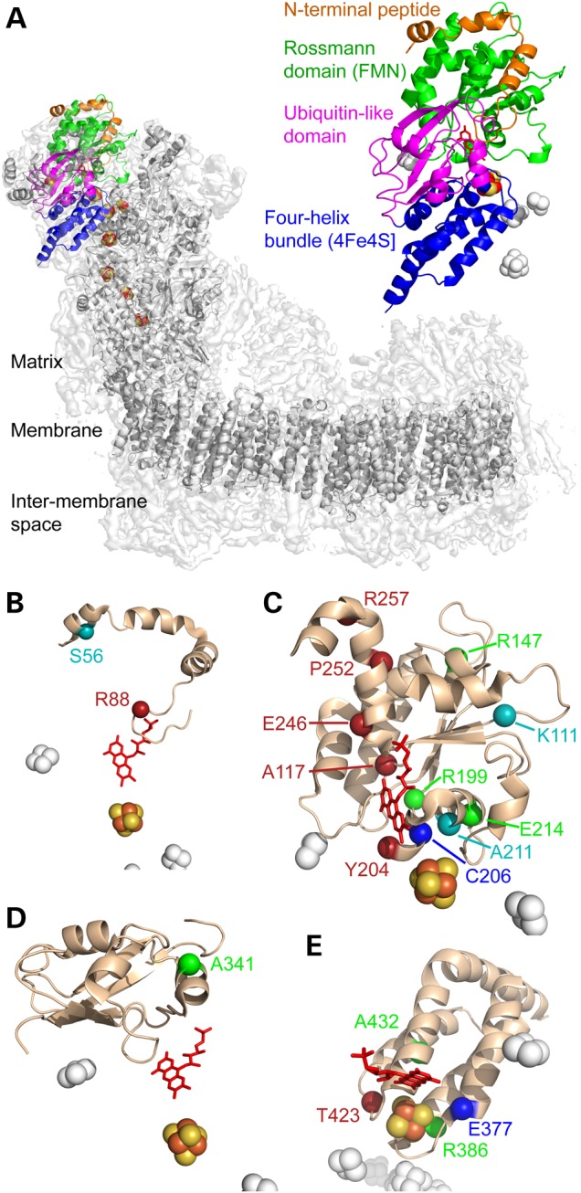 Figure 2.