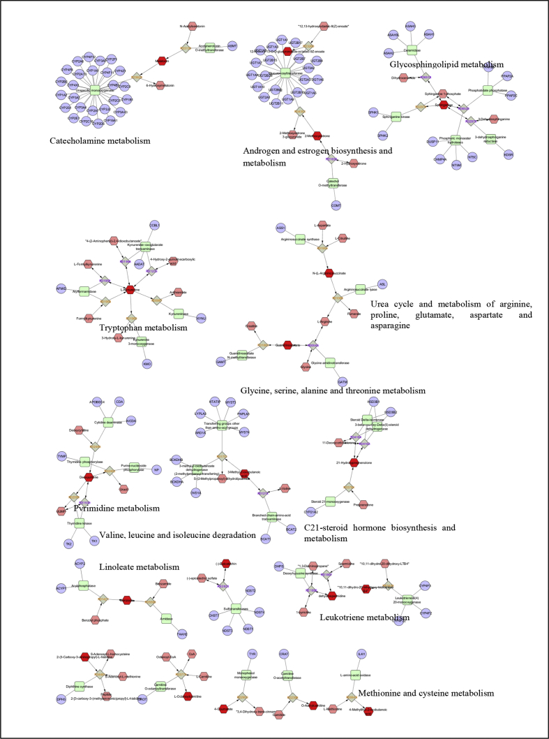 Fig. 3
