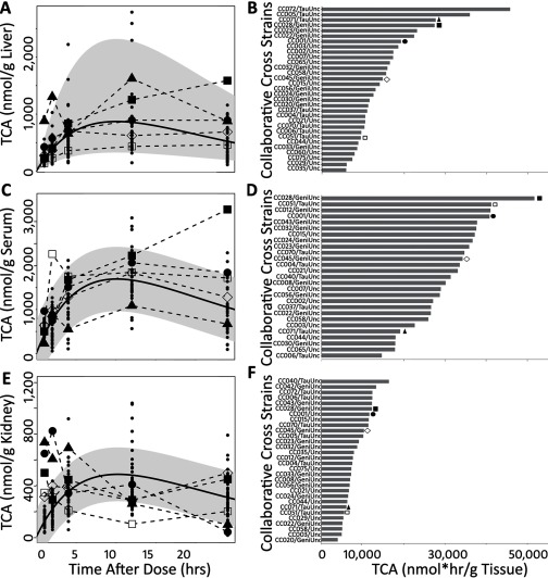 Panels A, C, and E graphical representations indicating concentration of TCA in nanomolar per gram for liver, serum, and kidney (y-axis), respectively, across time after dosage in hours (x-axis). Panels B, D, and F are panels of bar graphs indicating collaborative cross strains (y-axis) across concentration of TCA in nanomolar times hour per gram of tissue (x-axis).