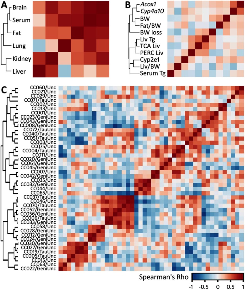 Correlation matrices.