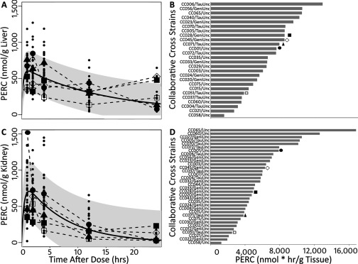 Panels A and C are graphical representations indicating concentration of PERC in nanomolar per gram for liver and kidney (y-axis), respectively, across time after dosage in hours (x-axis). Panels B and D are panels of bar graphs indicating collaborative cross strains (y-axis) across concentration of PERC in nanomolar times hour per gram of tissue (x-axis).