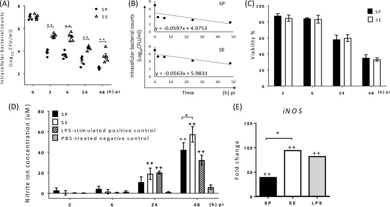 FIG 1