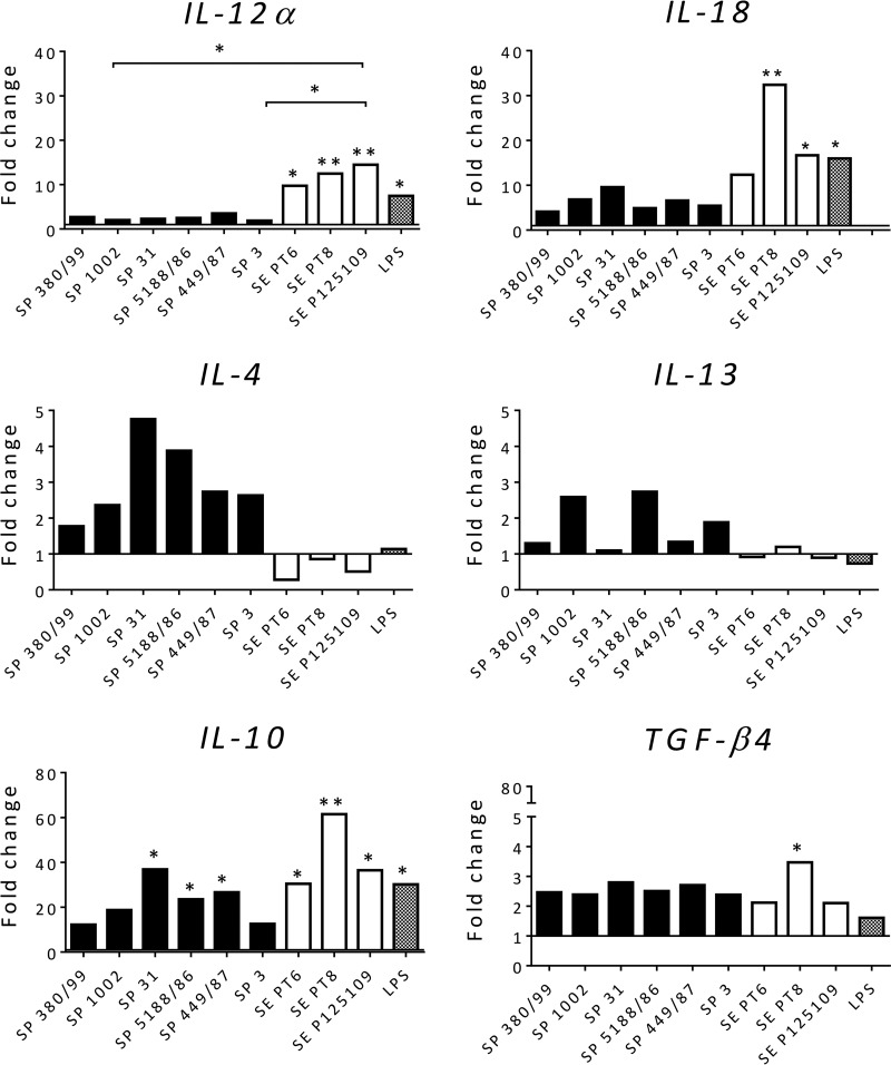 FIG 3