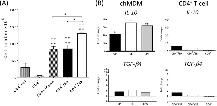 FIG 6