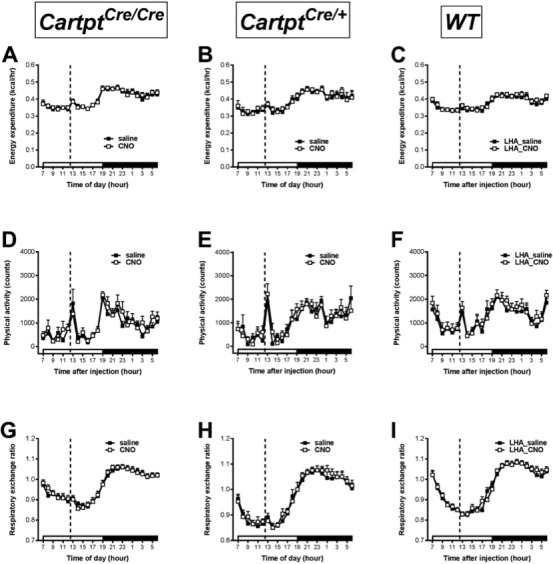 Figure 2—figure supplement 1.