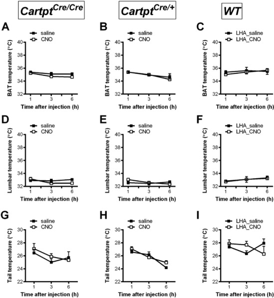 Figure 9—figure supplement 1.