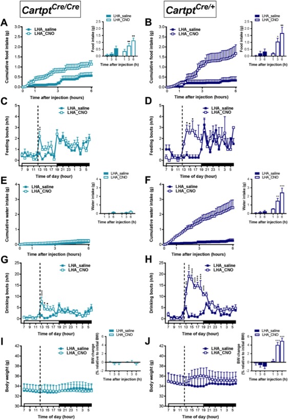 Figure 10.