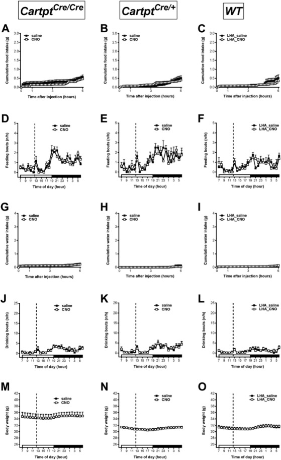 Figure 10—figure supplement 1.