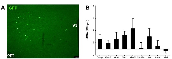 Figure 12.