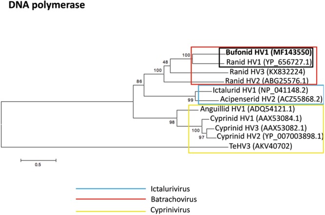 Figure 15