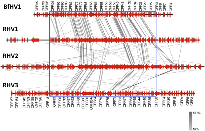 Figure 14