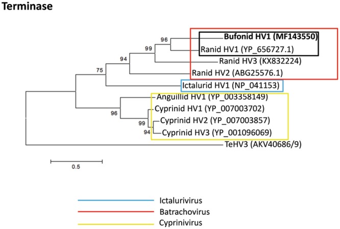 Figure 16