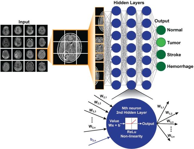 Fig 3.