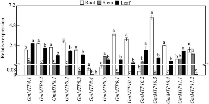 FIGURE 4