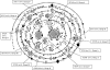 FIG. 1.