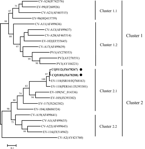 Fig. 1