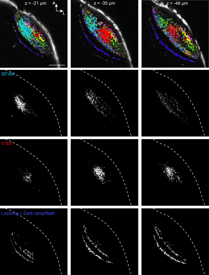 Figure 3—figure supplement 2.