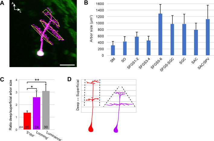 Figure 5—figure supplement 3.