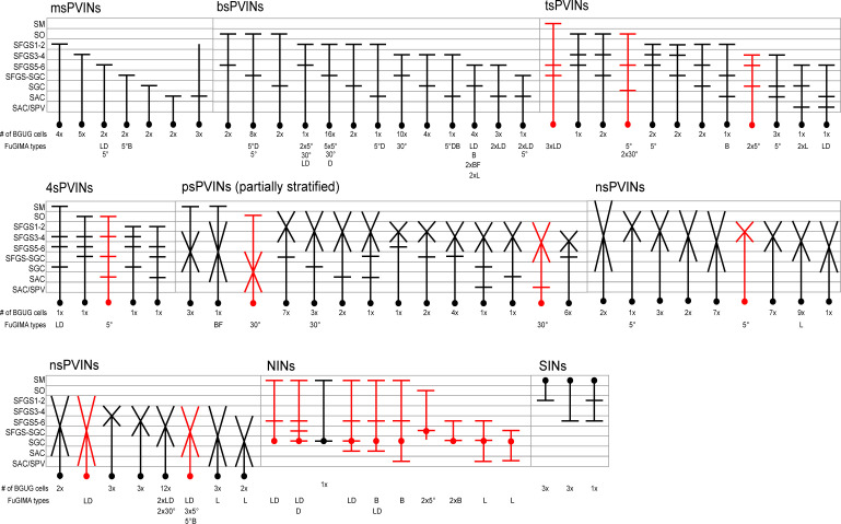 Figure 5—figure supplement 2.