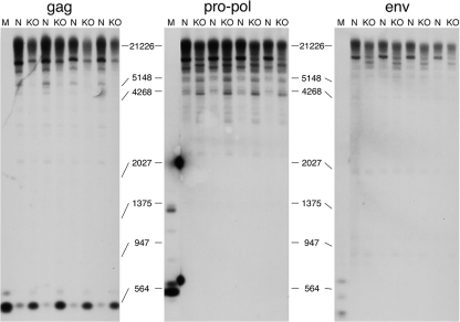 FIG. 5.