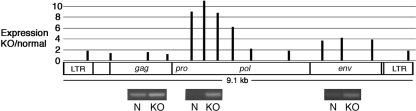 FIG. 1.