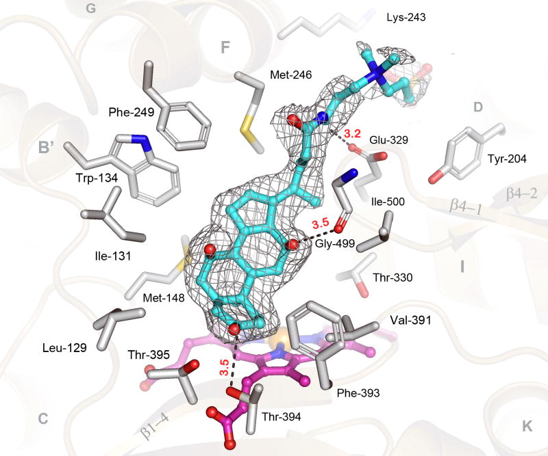 Fig 3