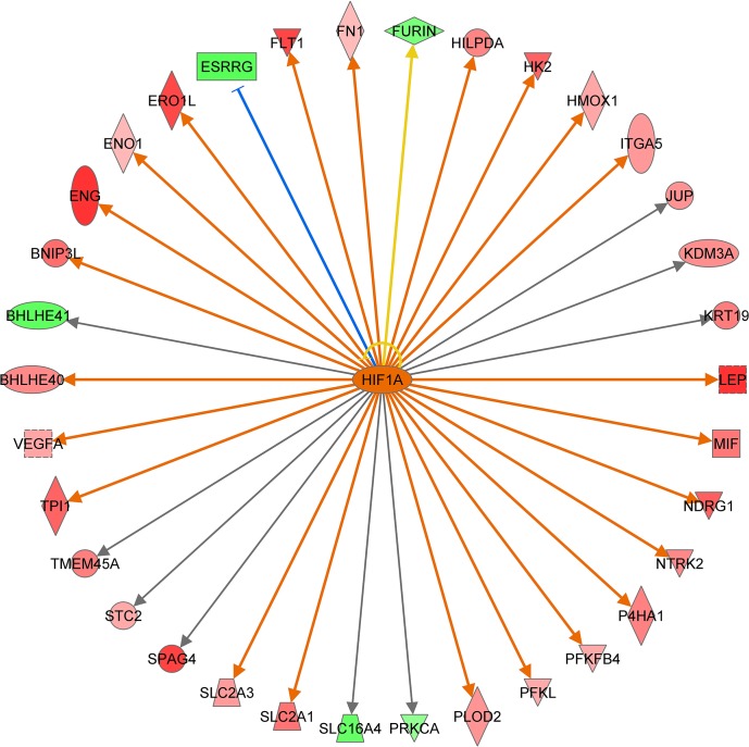 Fig 5