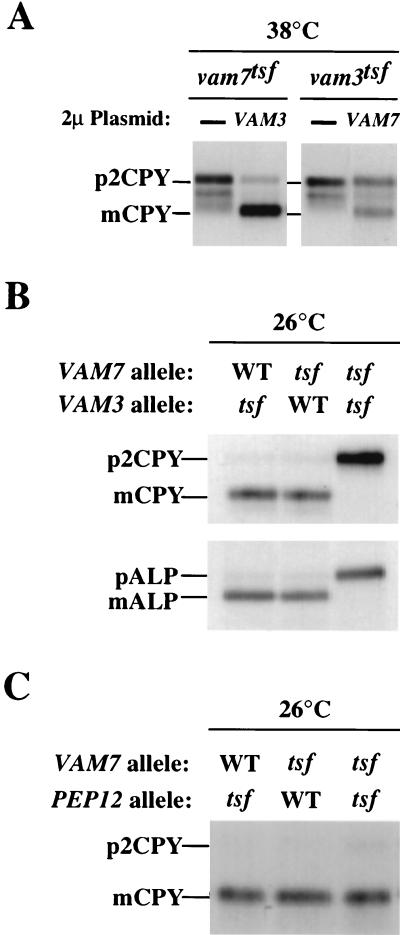 FIG. 5