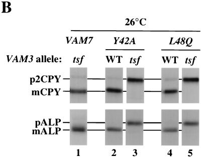 FIG. 7