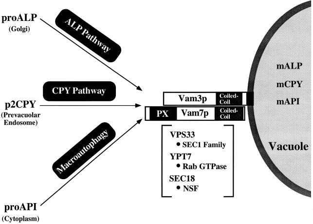 FIG. 8