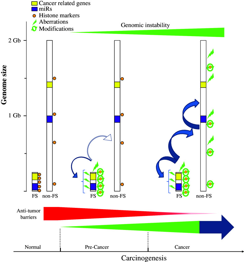 Fig. 3