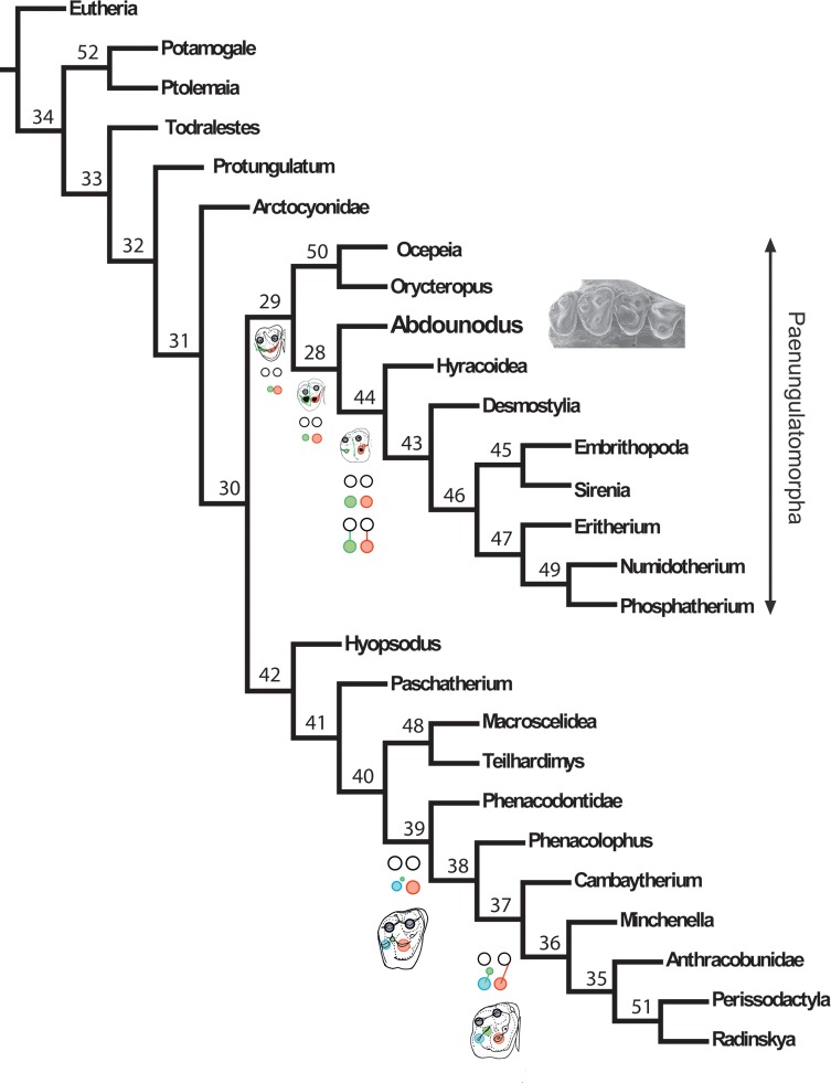 Fig 11