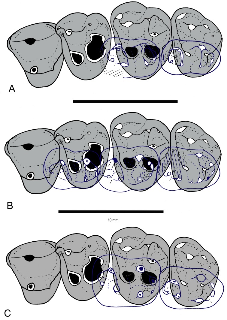 Fig 5