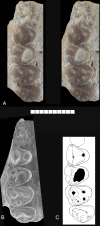 Fig 2