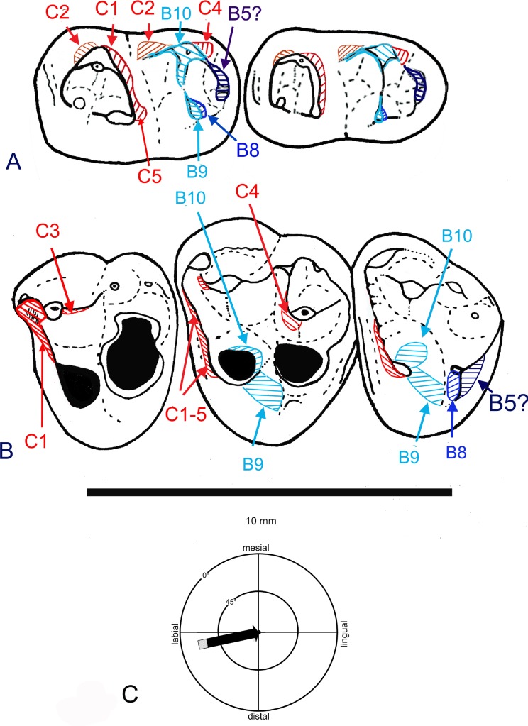 Fig 6