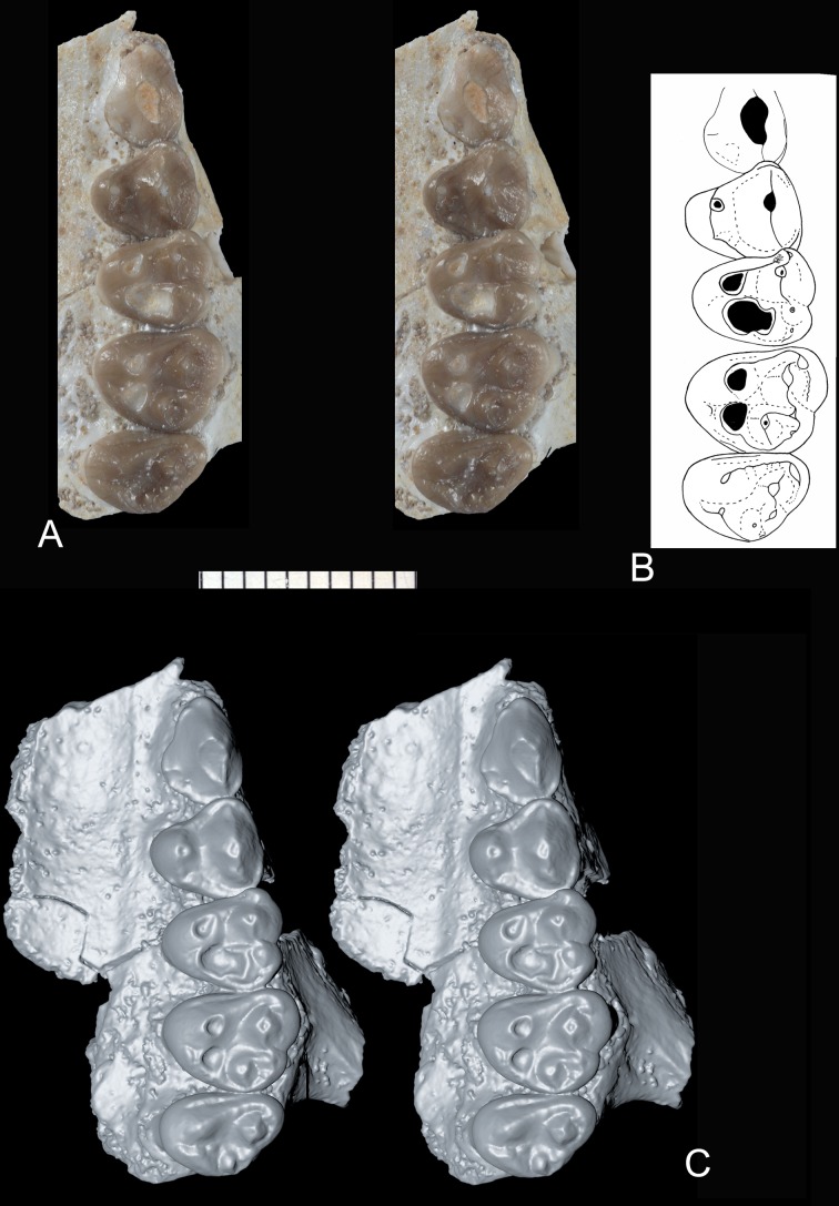 Fig 1