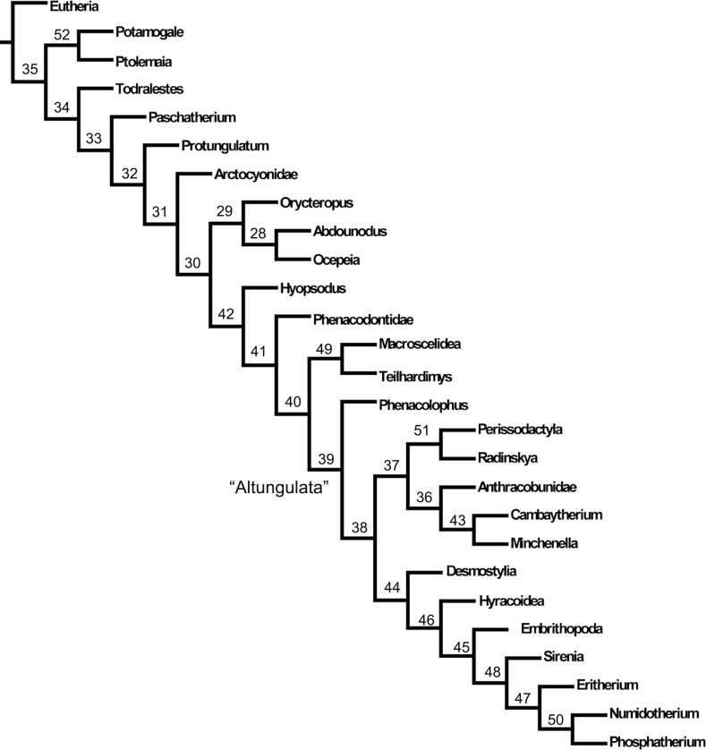 Fig 10