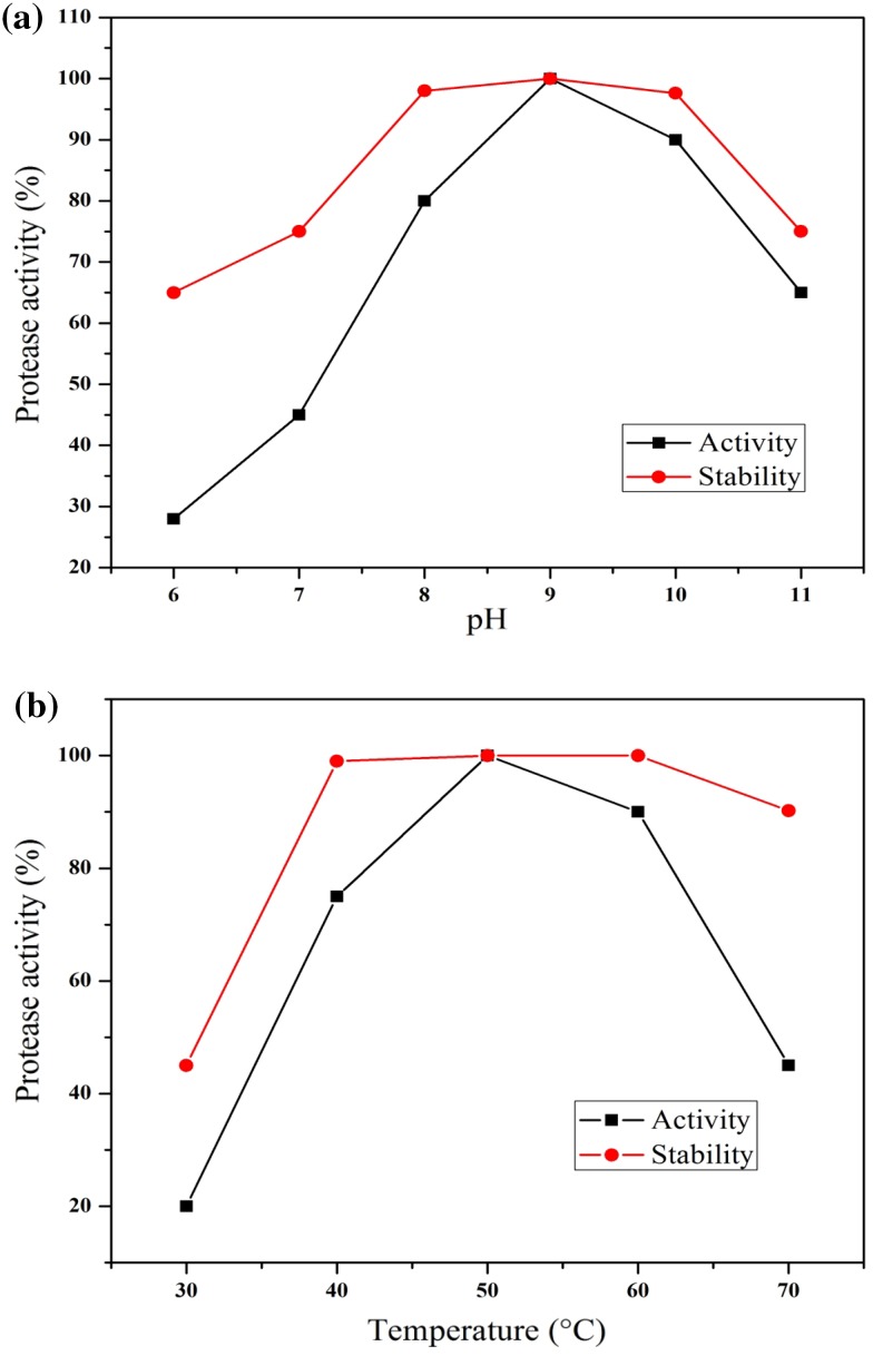 Fig. 5