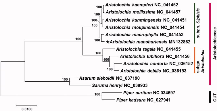 Figure 1.