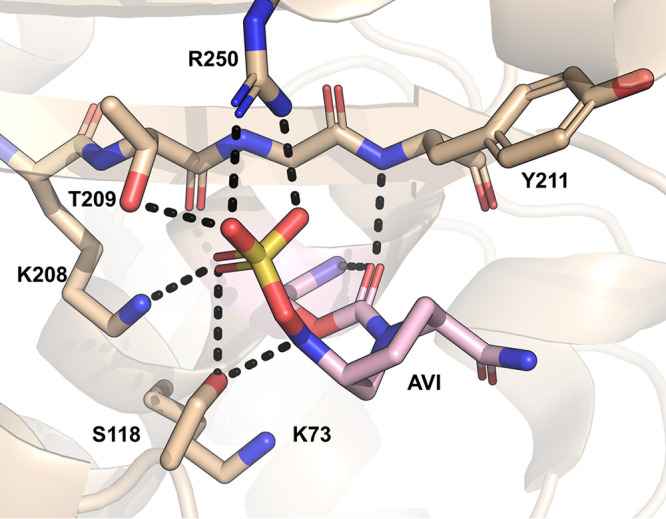 FIG 10