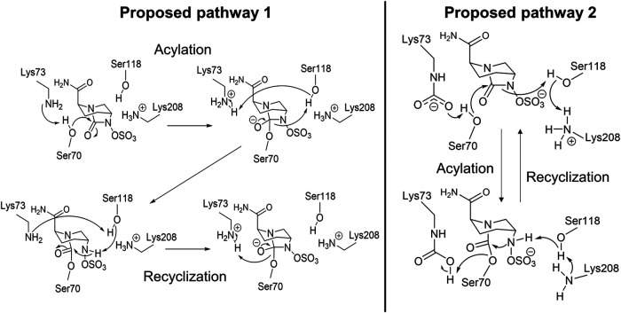 FIG 11