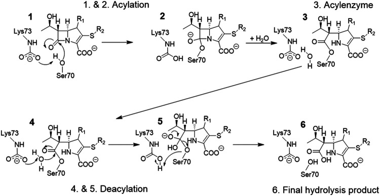 FIG 3