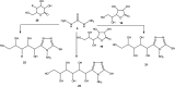 Scheme 7